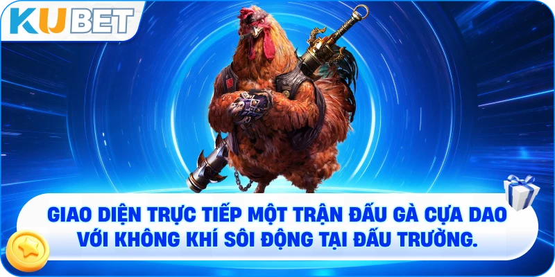 Giao diện trực tiếp một trận đấu gà cựa dao với không khí sôi động tại đấu trường.